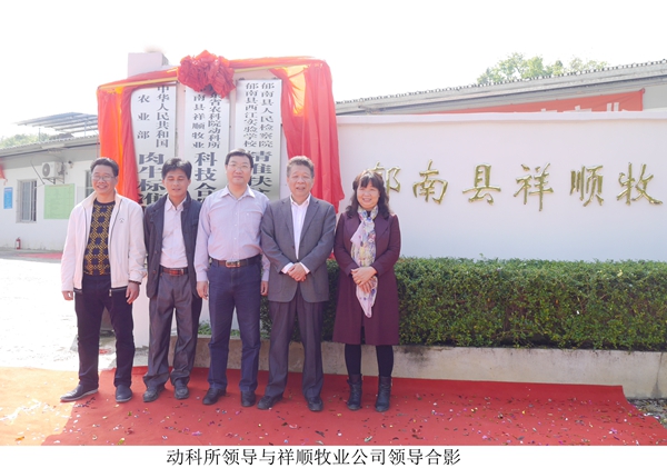 图片说明