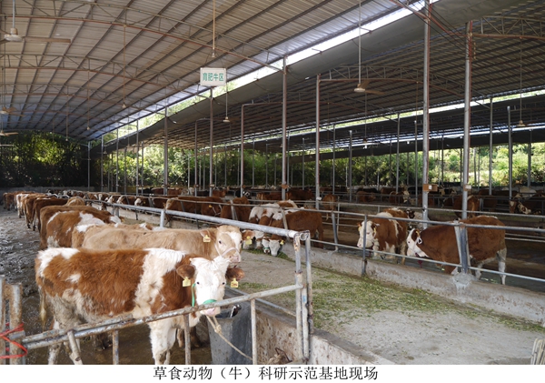 图片说明