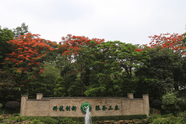 图片说明