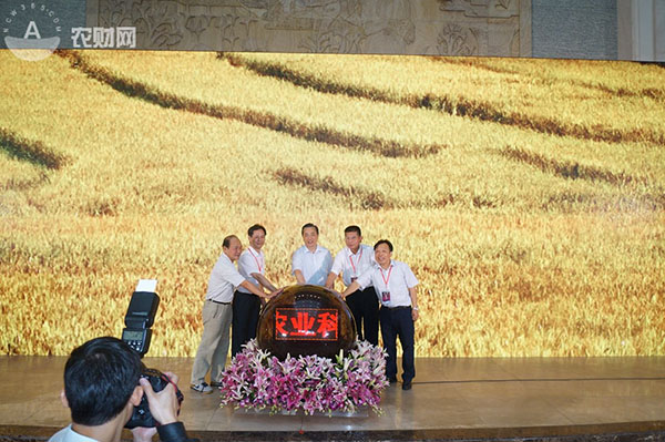 图片说明