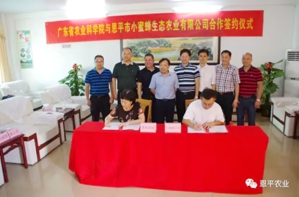 图片说明