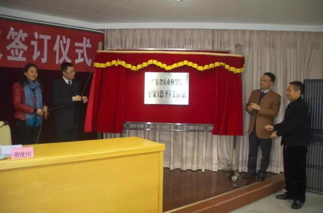 图片说明