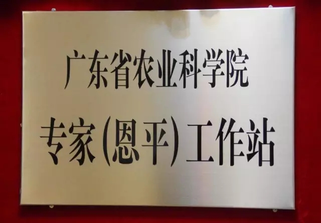 图片说明
