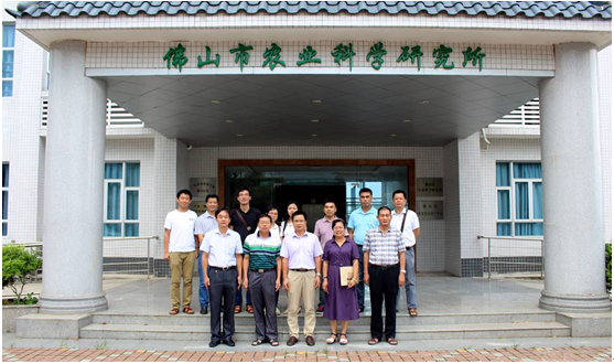 图片说明