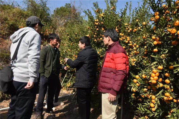 图片说明