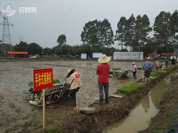 图片说明