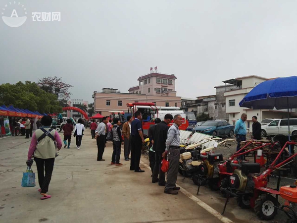 图片说明