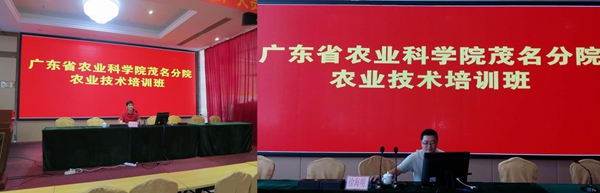 图片说明