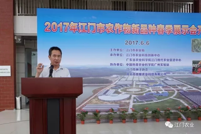 图片说明