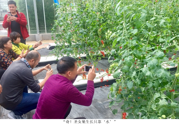 图片说明