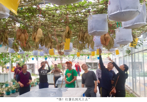 图片说明