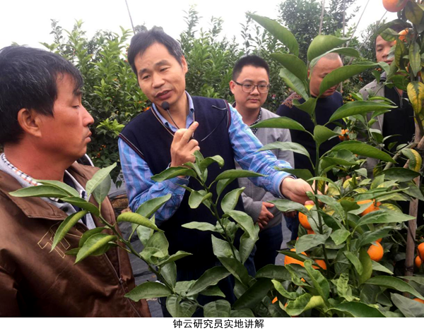图片说明