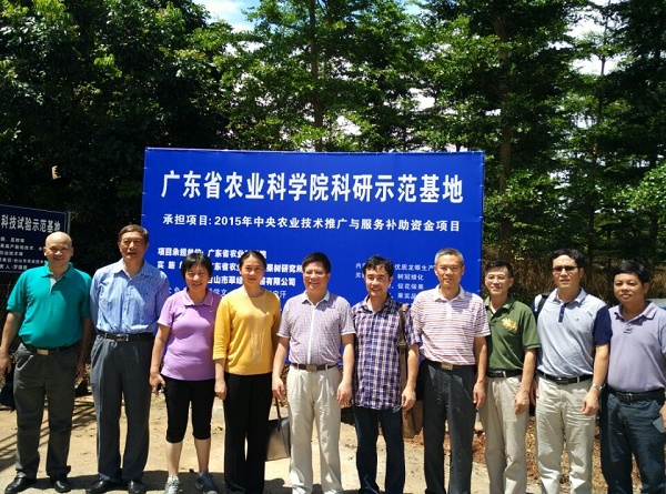 图片说明