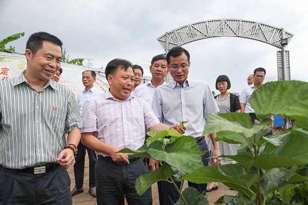 图片说明