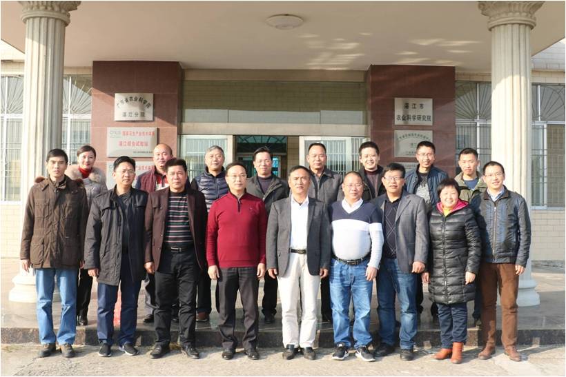 图片说明
