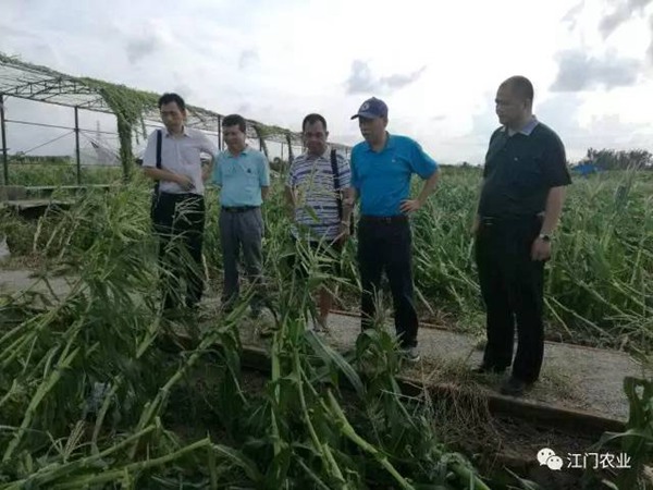 图片说明