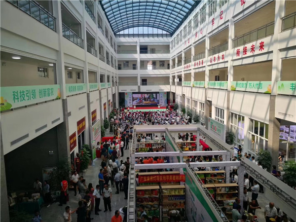 图片说明