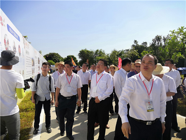 图片说明