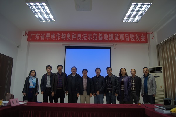 图片说明