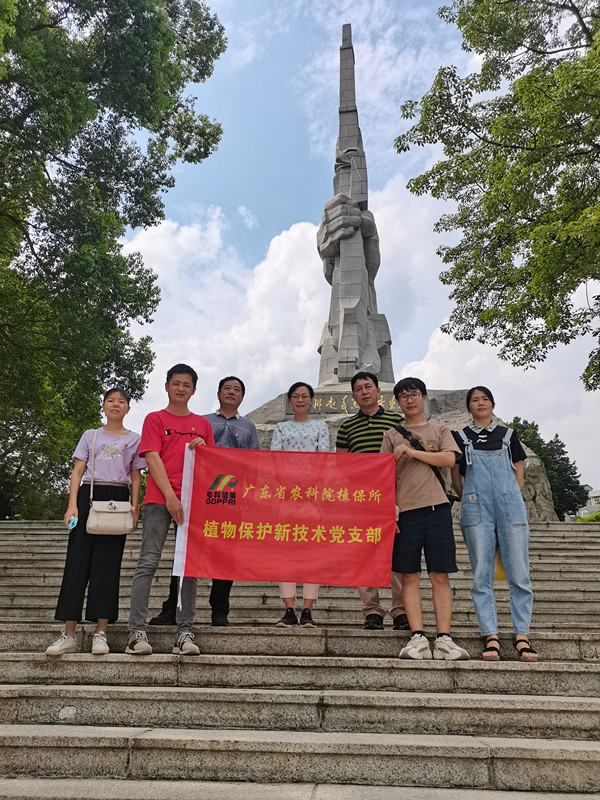 图片说明