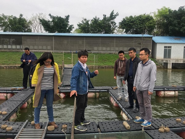 图片说明