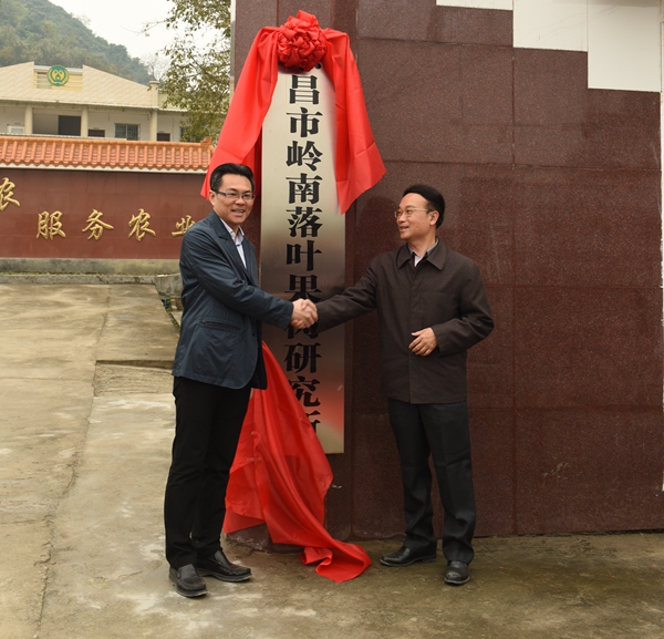 图片说明