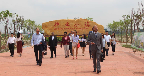图片说明