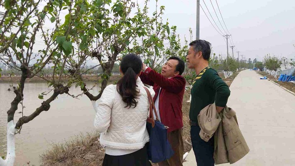 图片说明