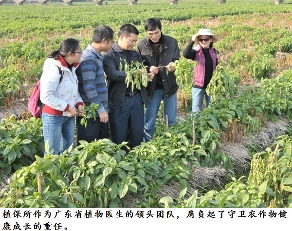 图片说明