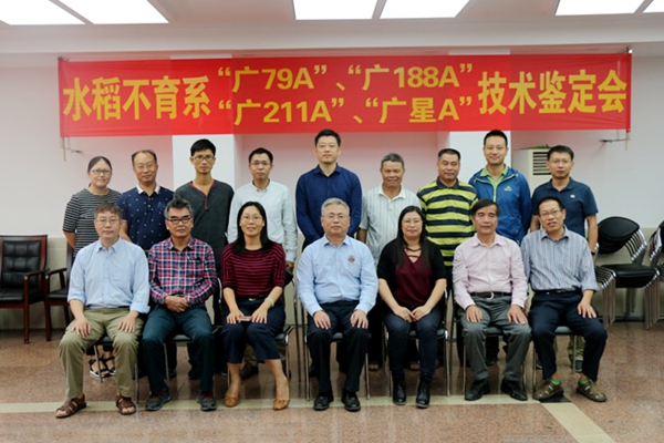 图片说明