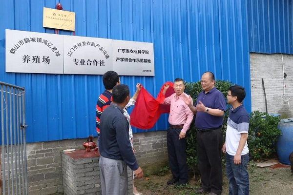 图片说明