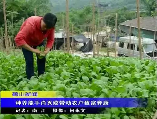 图片说明