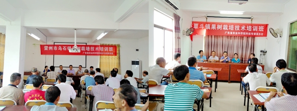 图片说明