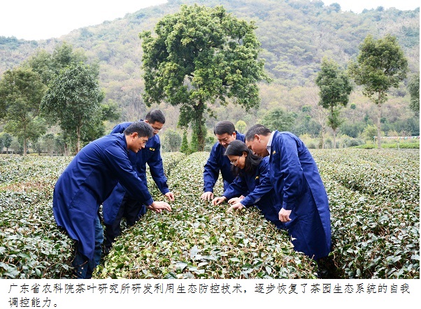 图片说明