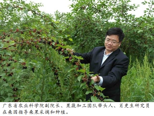 图片说明