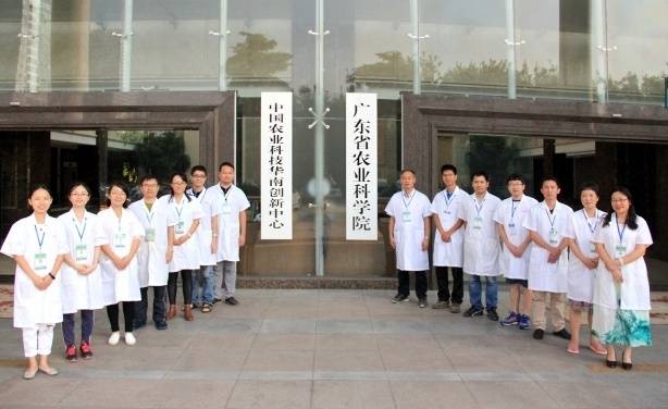 图片说明