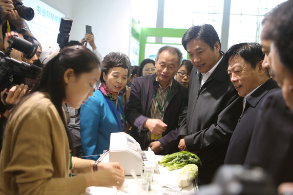 图片说明