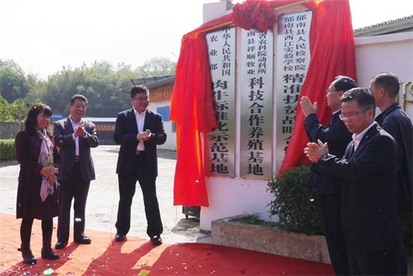 图片说明
