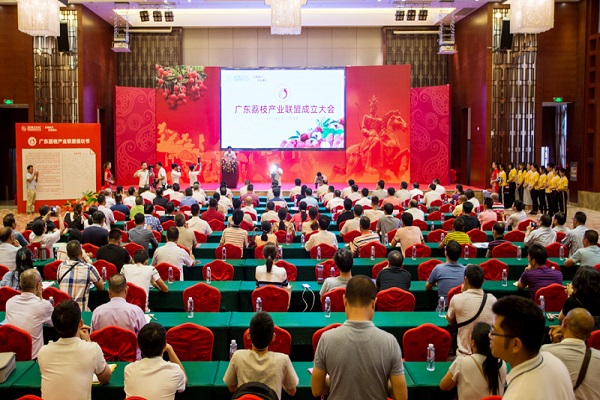 图片说明