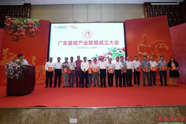 图片说明