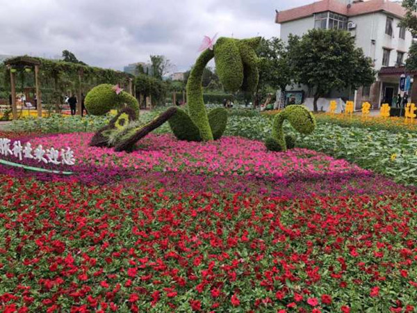 图片说明