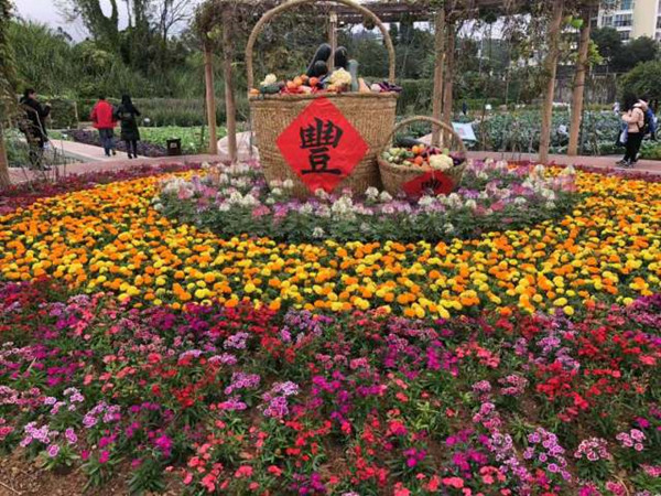 图片说明