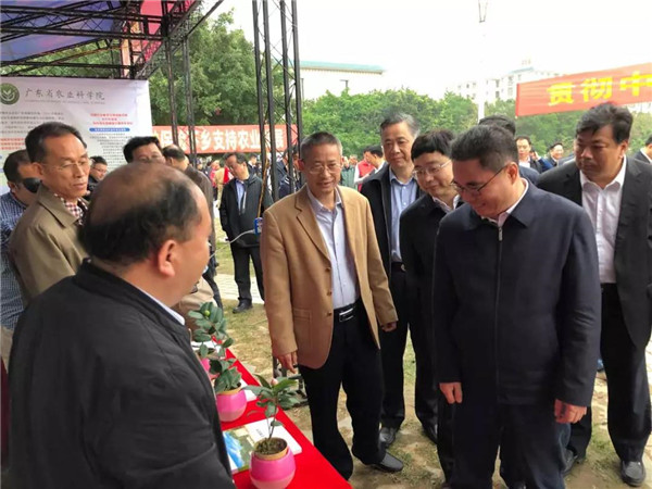 图片说明