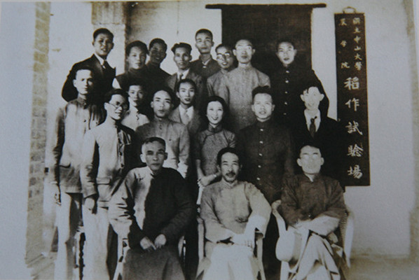 图片说明