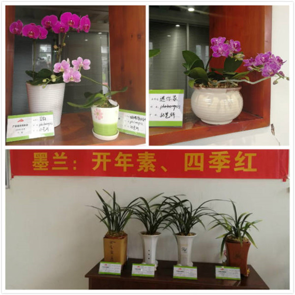 图片说明