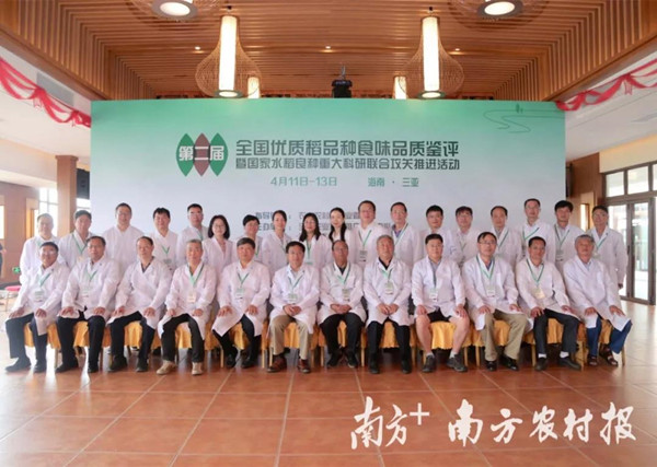 图片说明