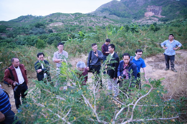 图片说明
