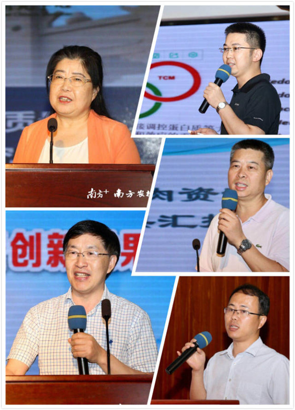 图片说明