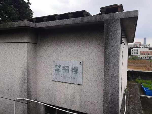 图片说明