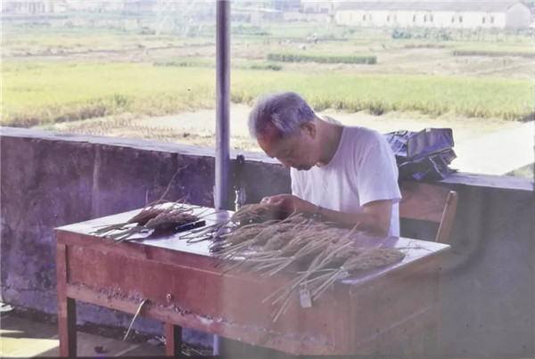 图片说明